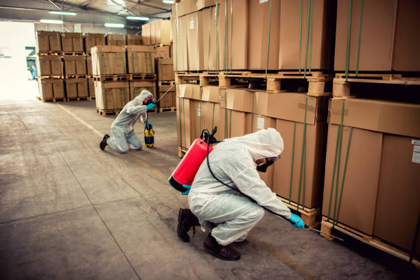 Flea Control Services in Waterloo, IN