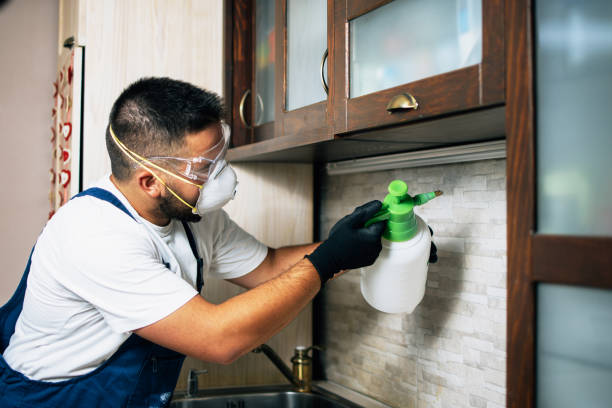Best Commercial Pest Control Services  in Waterloo, IN