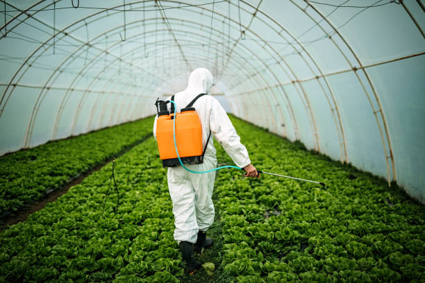 Best Residential Pest Control  in Waterloo, IN