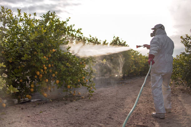  Waterloo, IN Pest Control Pros