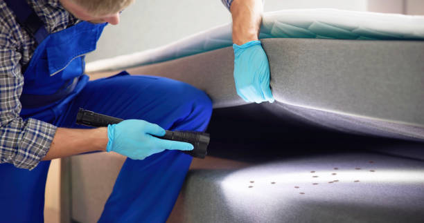 Best Local Pest Control Services  in Waterloo, IN