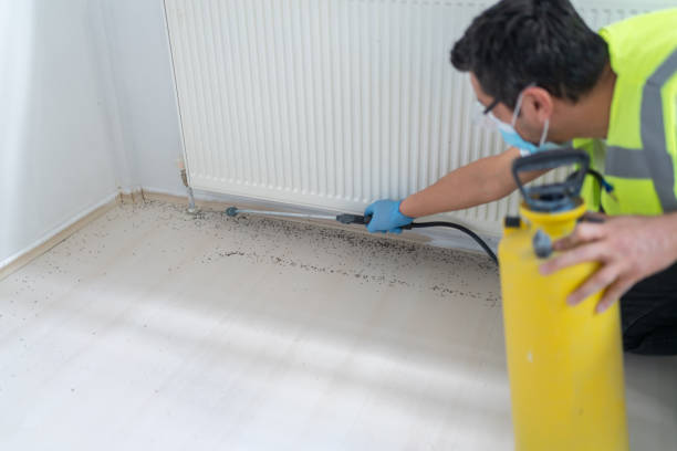 Best Emergency Pest Control  in Waterloo, IN