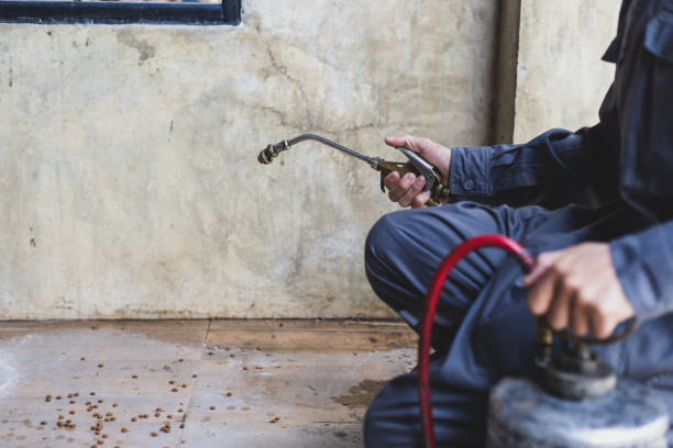 Best Best Pest Control Companies  in Waterloo, IN