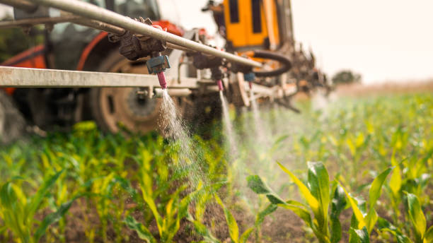 Best Mosquito Control Services  in Waterloo, IN